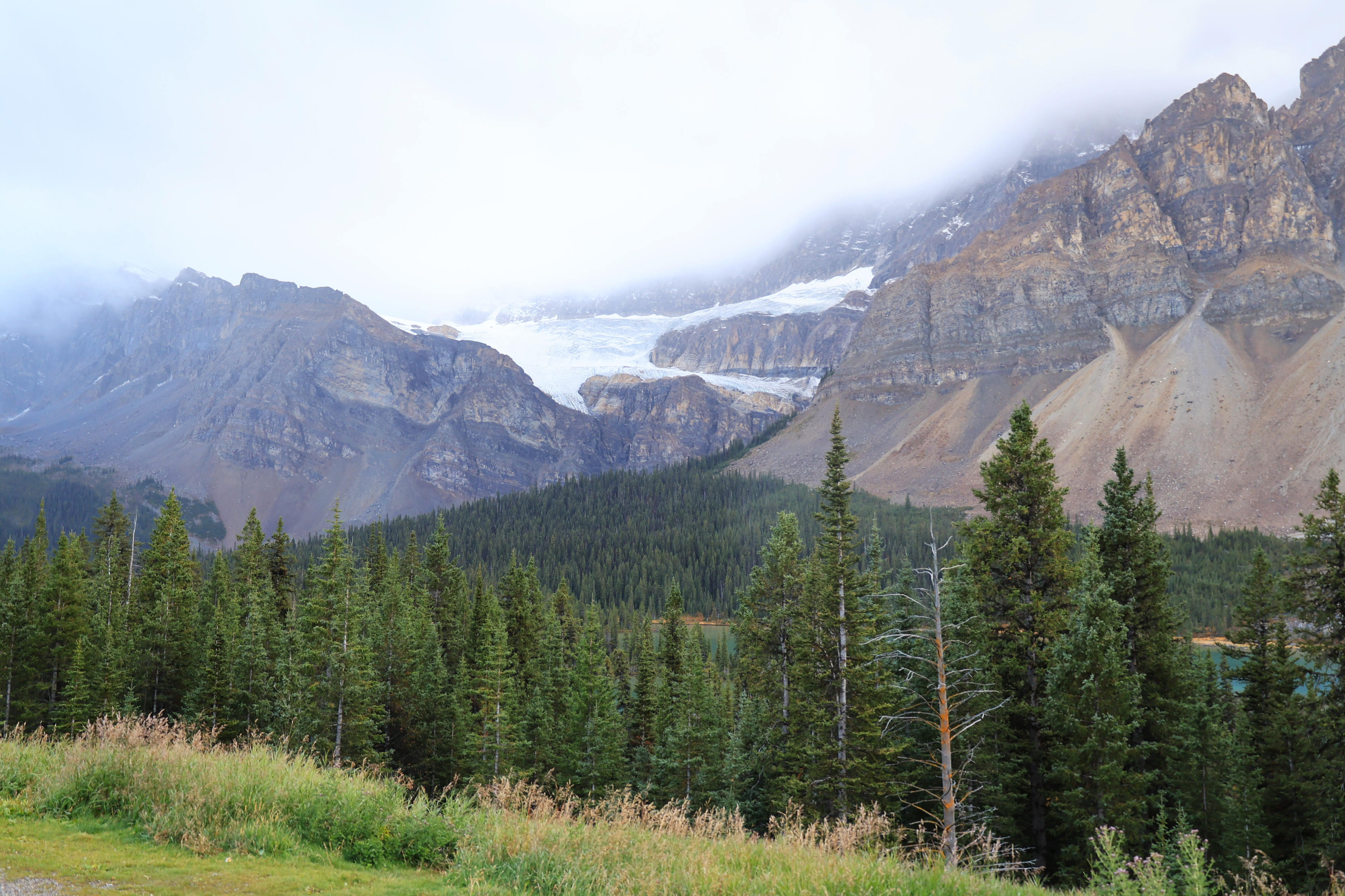 NP Banff